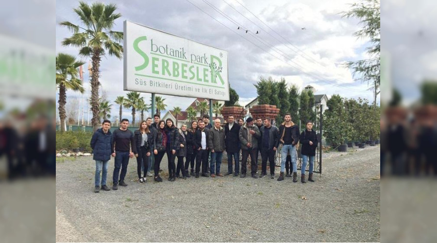 PEYZAJ RENCLER SAHADA