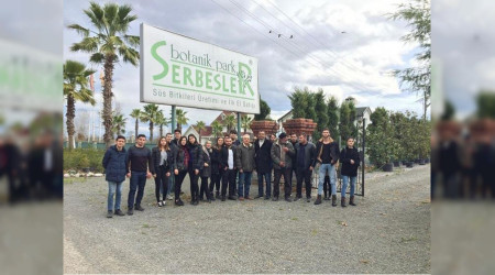 PEYZAJ RENCLER SAHADA