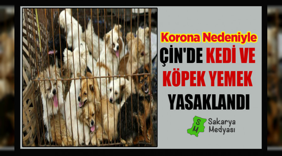 KORONA NEDENYLE N'DE KED VE KPEK YEMEK YASAKLANDI!..