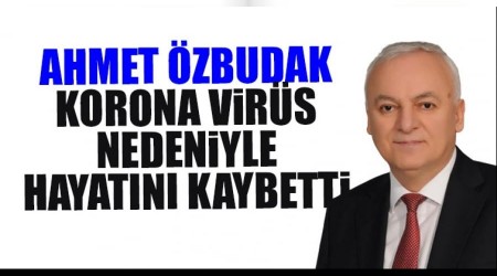 Meclis yesi koronaya yenildi