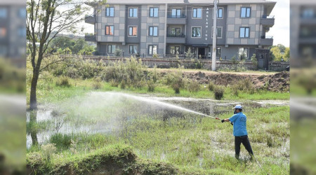 Karasu'da İlaçlama Çalışmaları Sürüyor