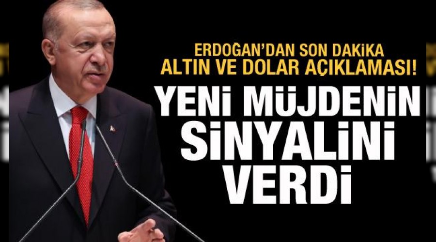 2023 tamamen seim yldr