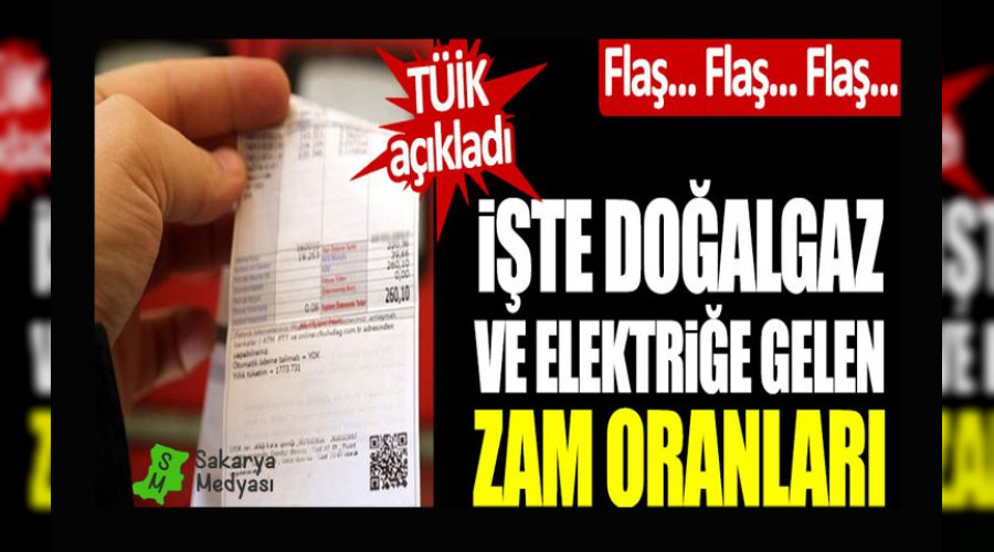 TÜİK doğalgaz ve elektriğe gelen zam oranlarını açıkladı